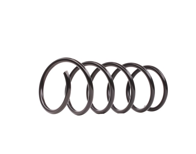 Springveer DACIA in originele kwaliteit 540101952R, 540105167R, 6001547496 van LESJÖFORS