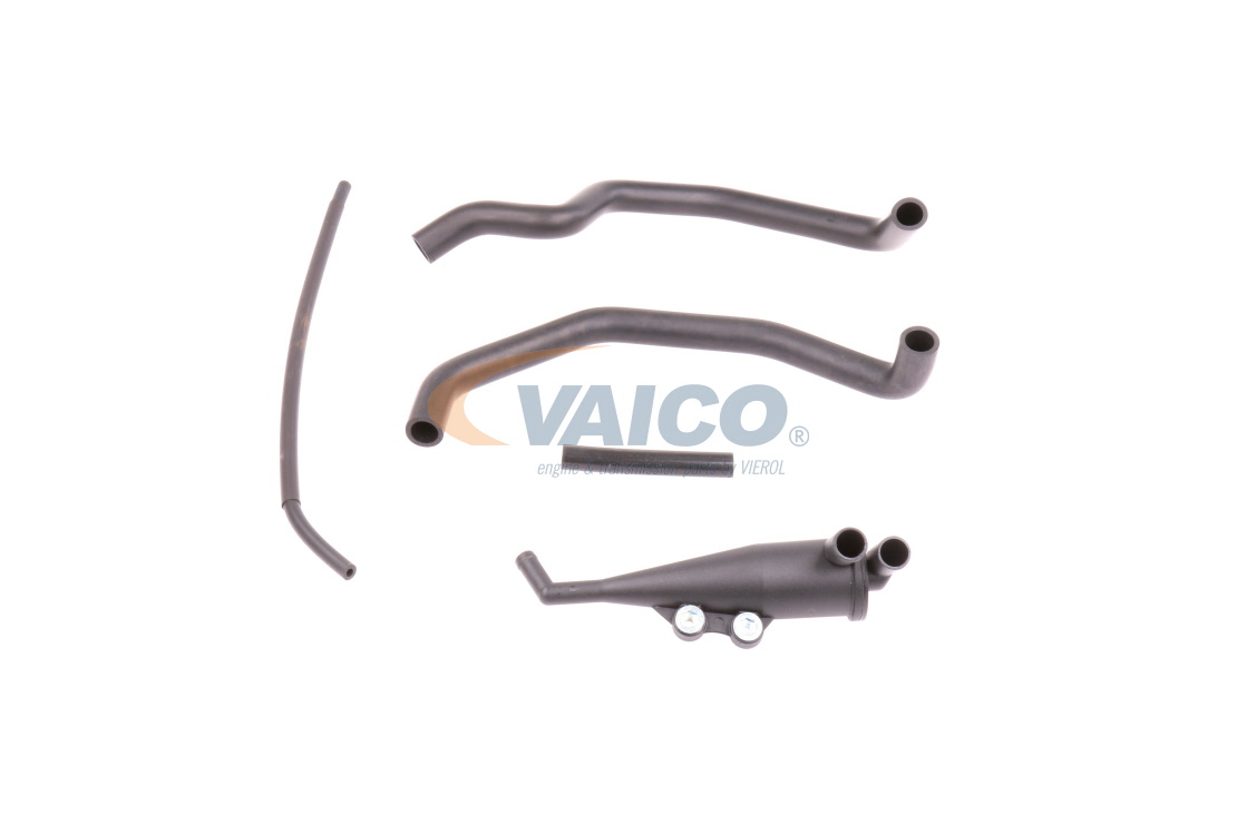 Įsigykite VAICO Remonto komplektas, variklio karterio alsuoklis Prekės Nr.: V20-0004 už žemiausią 63,20 € kainą
