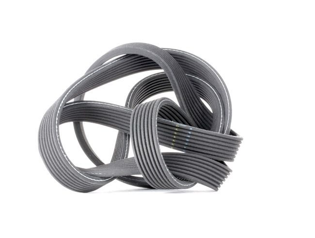 Compre Correa trapecial poli V 7DPK1880 original asequible comparable con números OEM online 11288477789