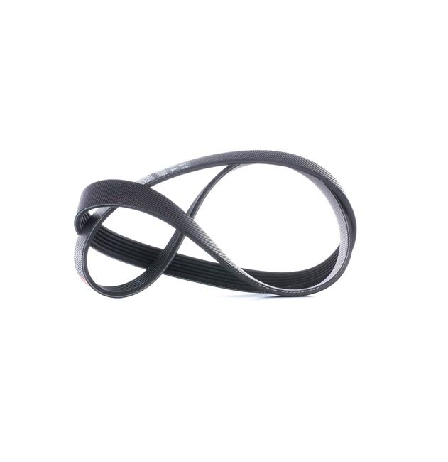 OEM Cinghia servizi FORD 1.6 Flexifuel 120 CV Benzina/Etanolo 1684909 da GATES online ad un ottimo prezzo