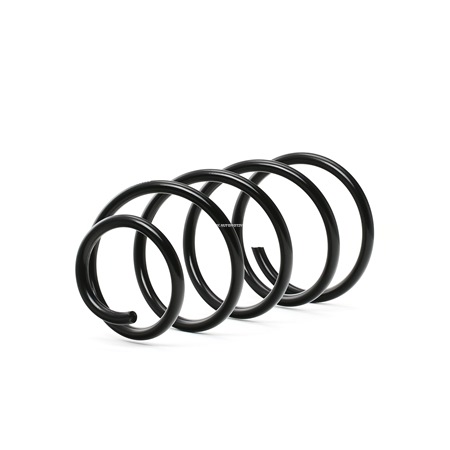 Įsigykite nebrangią originalią Spyruoklė SKCS-0040131. sulyginama su 1318123 OEM numeriais internetu