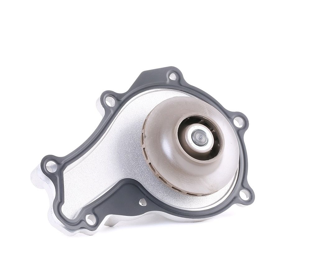 DOLZ C129 Pompe à eau