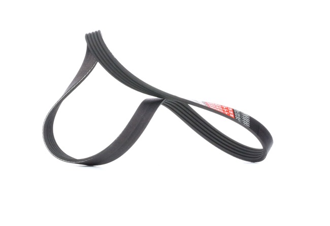 OE Correia estriada VOLVO 340-360 1981 1370971, 1371653, 1563257 de GATES