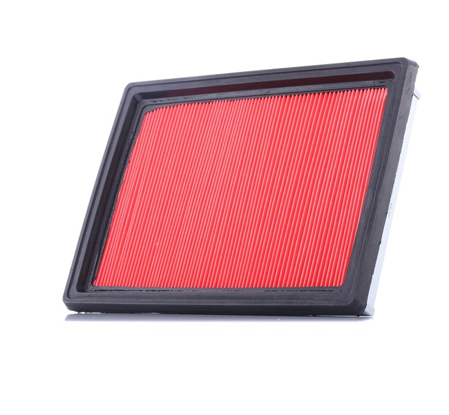 Įsigykite nebrangią originalią Oro filtras F204901. sulyginama su 165463J41A OEM numeriais internetu