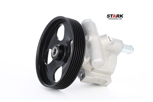 Įsigykite nebrangią originalią Vairo stiprintuvo siurblys SKHP-0540005. sulyginama su 491108977R OEM numeriais internetu