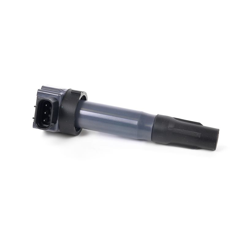 DELPHI Zündspule Produkt Nr.: GN10530-12B1 zum unschlagbaren Preis von 42,41 € erstehen
