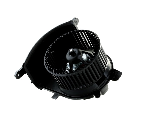 OE RENAULT SCÉNIC 2017 Orpūtė / dalys 7701056598, 7701041789, 7701041792 nuo STARK