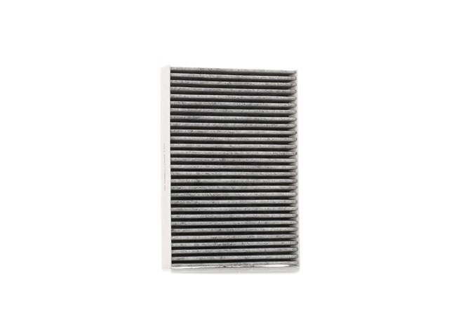 Įsigykite nebrangią originalią Salono filtras SKIF-0170275. sulyginama su 2789100QAA OEM numeriais internetu