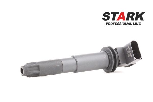 OE PORSCHE CARRERA GT Ignition coil 94860210400, 94860210401, 94860210403 from STARK - reduced prices