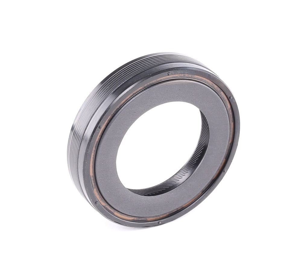 SASIC 1950002 Bague d'étanchéité, différentiel