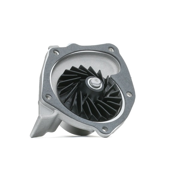 OEM Waterpomp RENAULT 1.9 dCi 131 PK Diesel 1741080KA0 van STARK online aan geweldige prijzen