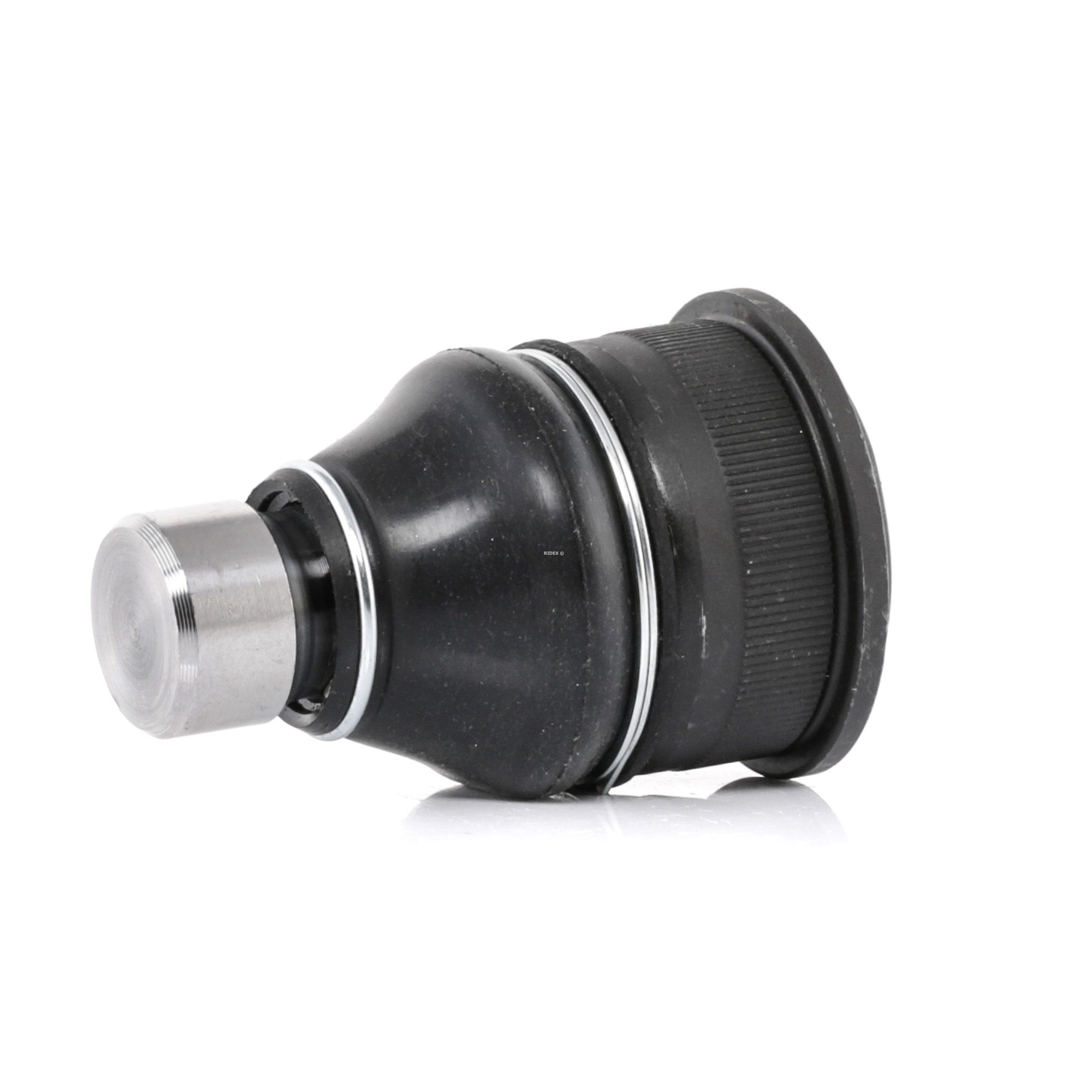 Įsigykite RIDEX Šarnyras Prekės Nr.: 2462S0050 už žemiausią 8,71 € kainą