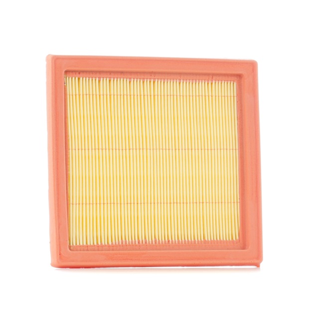 Įsigykite nebrangią originalią Oro filtras 8A0049. sulyginama su 1654641B01 OEM numeriais internetu