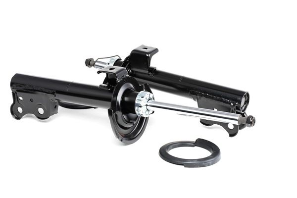 OEM Federbein komplett RENAULT Modus / Grand Modus (F, JP) 2011 1693200130, 1693200330, 1693200430 RIDEX