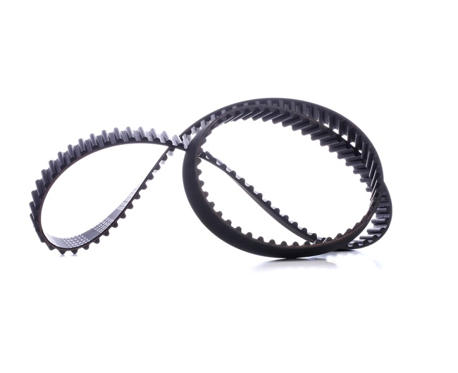 OEM Distributieriem RENAULT 2.0 TCe 190 PK Benzine 130284231R van STARK online aan geweldige prijzen