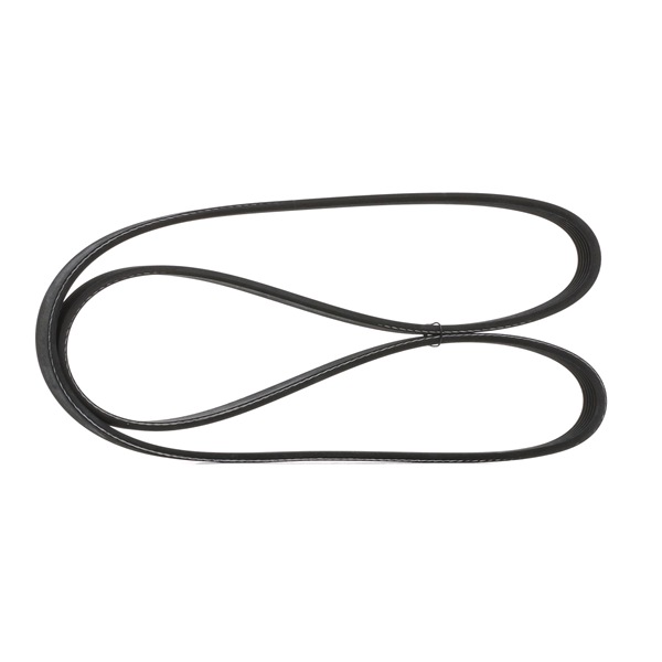 Courroie Poly-V 7174 6482