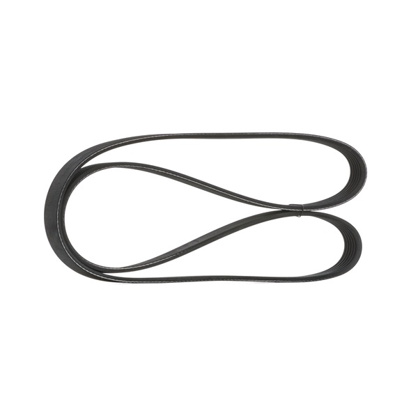 Kupite poceni originalno Rebrasti jermen SKPB-0090029, primerljivo z 9442495 OEM številke, prek spleta