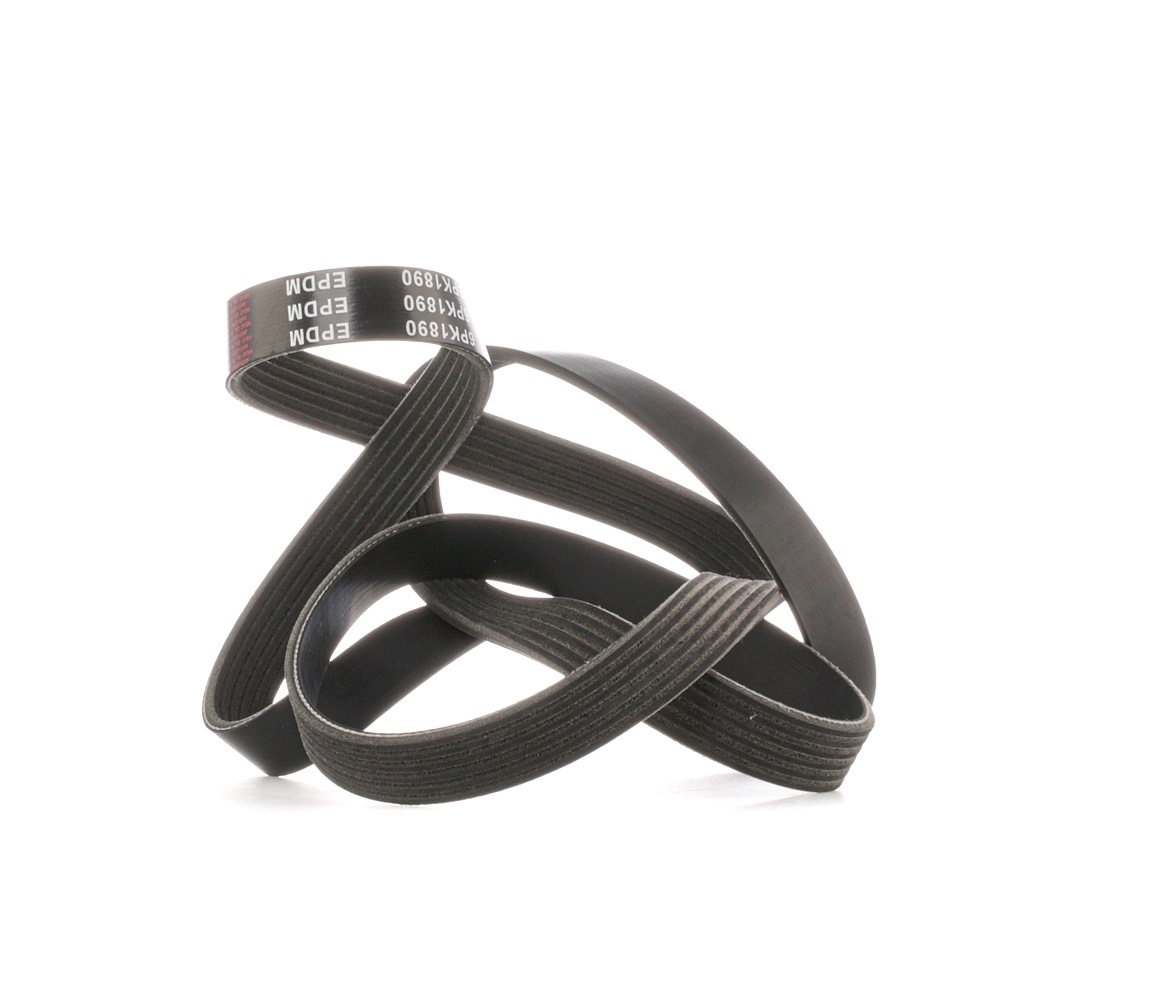 Ostke STARK Soonrihm Toode nr.: SKPB-0090033 madala hinnaga 8,48 €