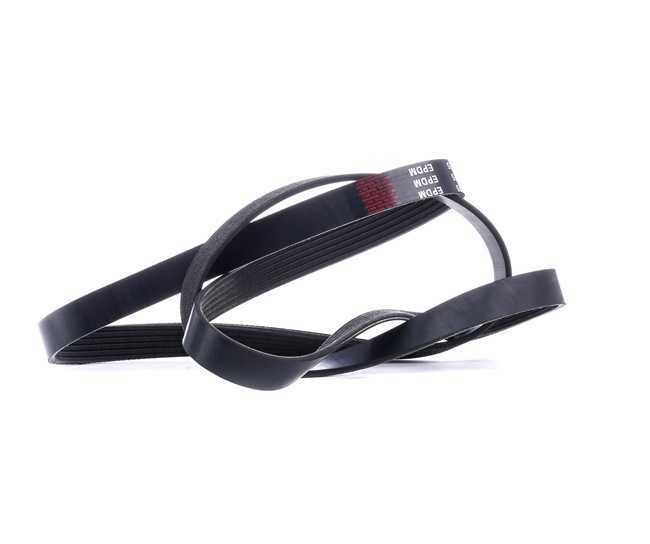 Acquista online Cinghia servizi SKPB-0090048 originale a buon mercato, comparabile con i numeri OEM 252122E310