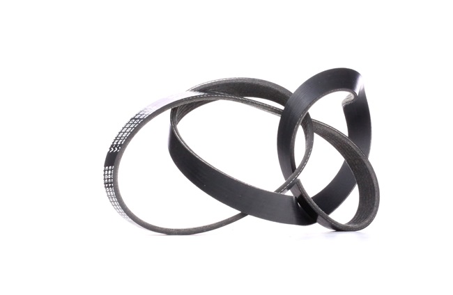 OEM Serpentine belt FORD Transit Custom V710 Minibus NXN 0129975492, 0129975592, 074145933AL from STARK - save money with our low prices