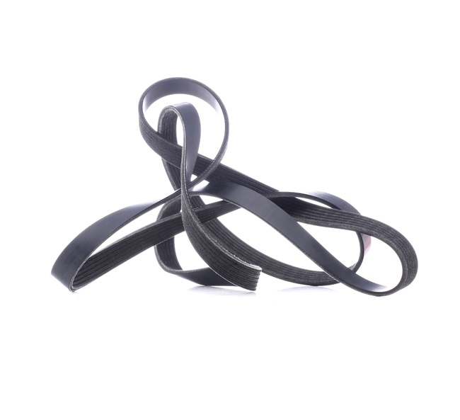 Kupite poceni originalno Rebrasti jermen SKPB-0090069, primerljivo z 53013352AC OEM številke, prek spleta