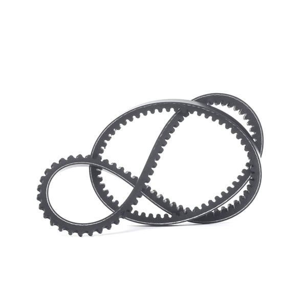 Compre Correa trapezoidal SKCB-0080039 original asequible comparable con números OEM online 12311254121