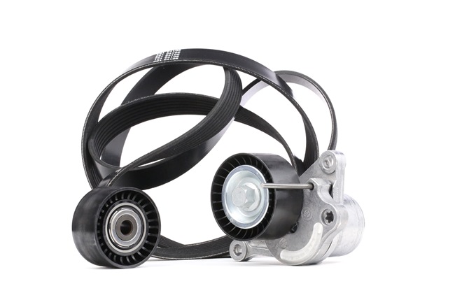 OEM Poly V-riem set RENAULT 2.0 dCi (KT0M, KT0N, KT0S, KT19, KT1F) 173 PK Diesel 1172000Q0C van DAYCO online aan geweldige prijzen