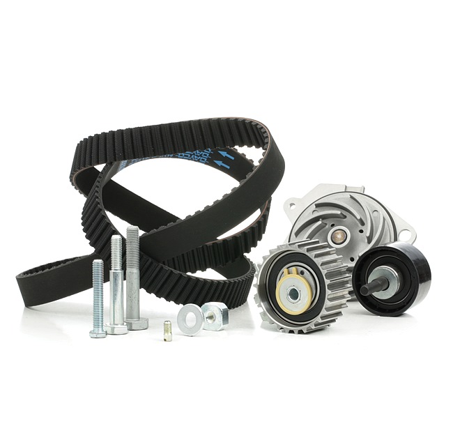 Acquista online Kit cinghia distribuzione, pompa acqua SKWPT-0750028 originale a buon mercato, comparabile con i numeri OEM 71773290S1