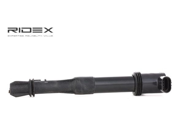 OE Zapaľovacia cievka FIAT MULTIPLA 2009 133827, 467772086, 46777286 od RIDEX