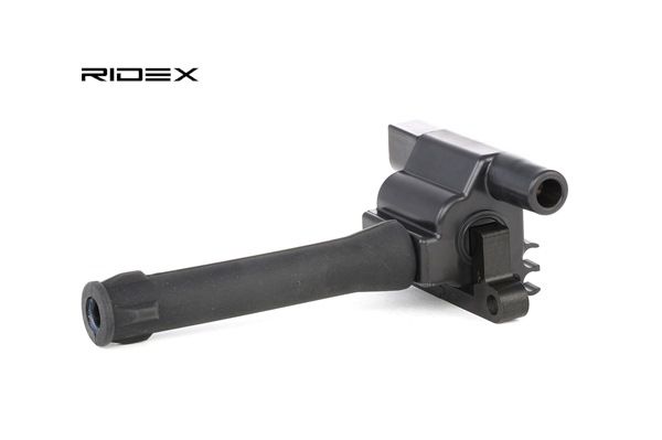 OE MG EXPRESS Tændspole GCL208, NEC000120, NEC000120L fra RIDEX - reducerede priser