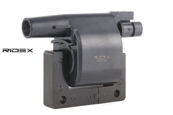 OE Бобина NISSAN PATHFINDER 2015 1953302, 1953306, 224330B00 от RIDEX
