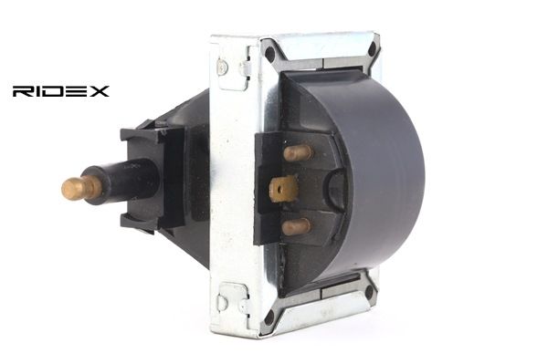 OEM Bobine RENAULT 2 113 PK Benzine 328677 van RIDEX online aan geweldige prijzen