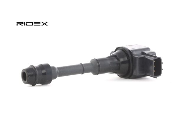 OE NISSAN ALTIMA Запалителна бобина 224488H300, 224488H310, 224488H311 от RIDEX - намалени цени