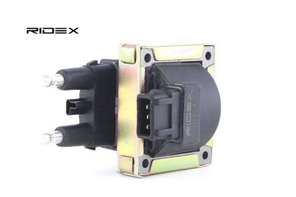 OEM Bobine RENAULT 2 113 PK Benzine 7700850999 van RIDEX online aan geweldige prijzen