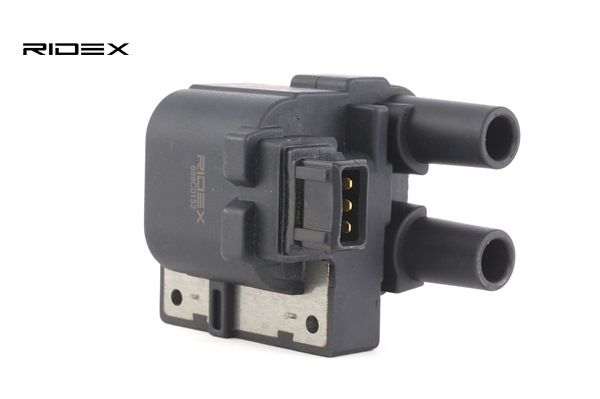 OEM Bobine RENAULT 1.6 16V 107 PK Benzine 138759 van RIDEX online aan geweldige prijzen