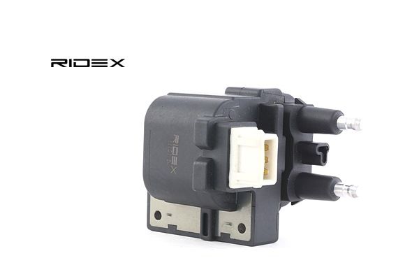 OEM Bobine RENAULT 2.0 16V (K56D, K56M) 139 PK Benzine 70863021 van RIDEX online aan geweldige prijzen