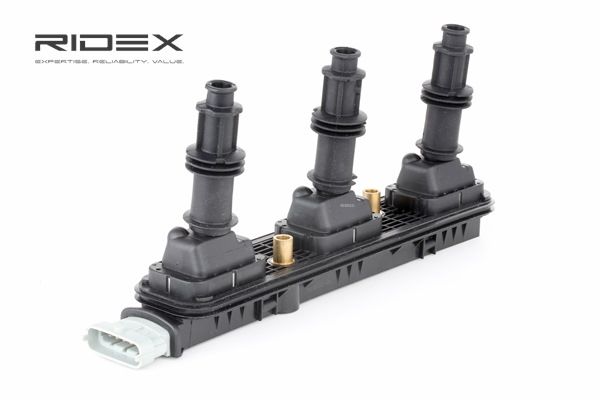 OEM Zapaľovacia cievka OPEL 2.6 V6 (F69, M69, P69) 180 HP Benzín 1208015 od RIDEX online za výborné ceny