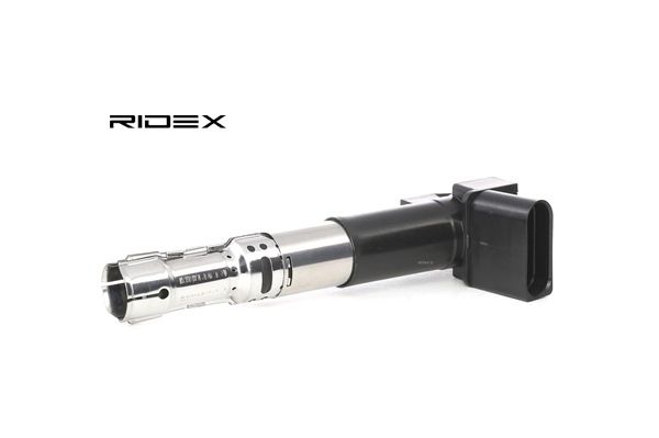OEM Zapaľovacia cievka VW 2.3 VR5 4motion 170 HP Benzín 066905100 od RIDEX online za výborné ceny