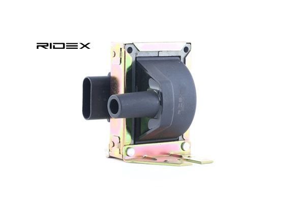 OE Zündspuleneinheit FIAT DUNA 1988 7582152, 7663177, 7698431 von RIDEX