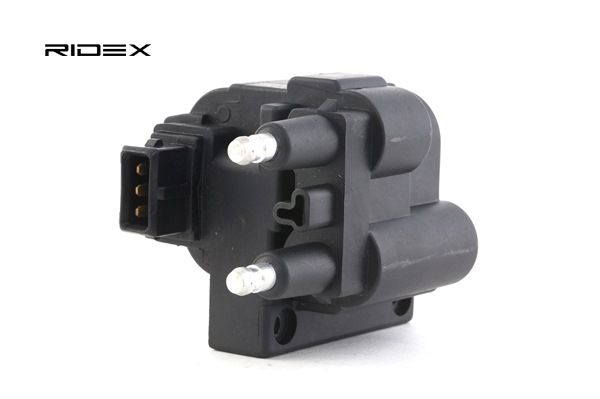 OEM Bobine RENAULT 2.0 16V (K56D, K56M) 139 PK Benzine 138757 van RIDEX online aan geweldige prijzen