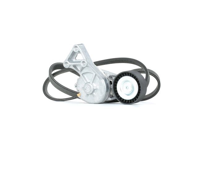 Cumpărați online Set curea transmisie cu caneluri SKRBS-1200003 original/ă și la un preț mic, compatibil/ă cu nr. OEM 06A260849B