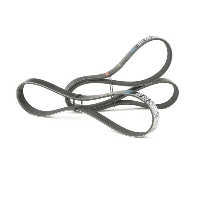 Ford Fiesta Mk4 1995 Poly v-belt kit STARK OEM 1148907, 1253583, 1365336