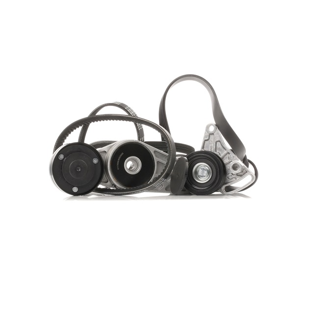 OEM Poly V-riem set VW 1.8 T 20V 150 PK Benzine van STARK online aan verbazingwekkende prijzen