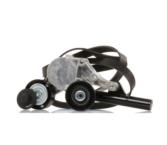 Koop online goedkoop originele Poly V-riem set SKRBS-1200039 vergelijkbaar met 11281247986 OEM-nummers