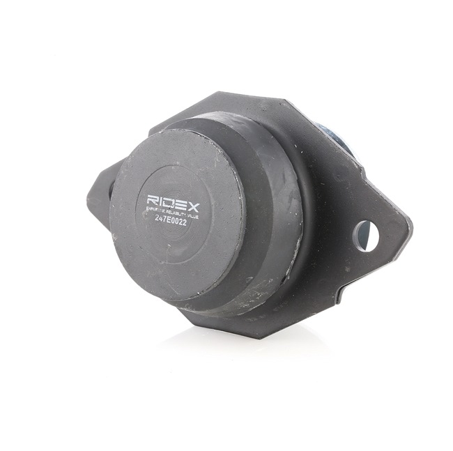 OEM Έδραση, κινητήρας VW 1.9 TDI 90 PS Πετρέλαιο 357199381 από την RIDEX ηλεκτρονικά σε χαμηλές τιμές