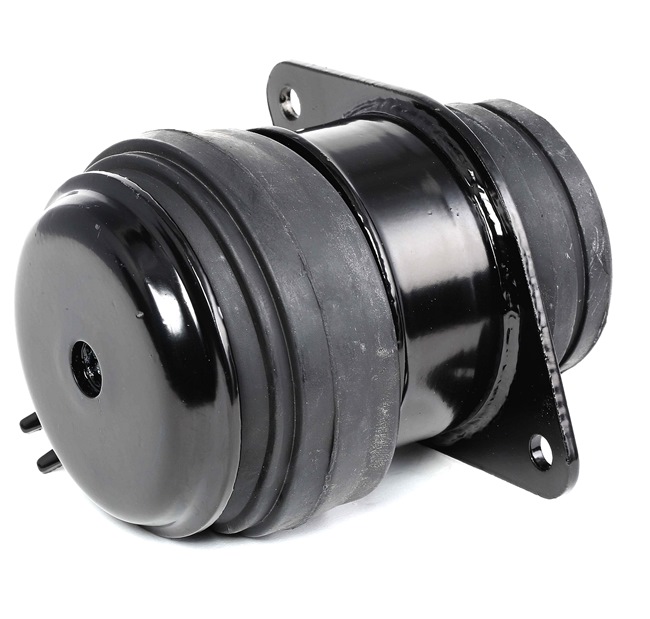 OEM Έδραση, κινητήρας VW 1.6 101 PS Βενζίνη 1H0199262A από την RIDEX ηλεκτρονικά σε χαμηλές τιμές