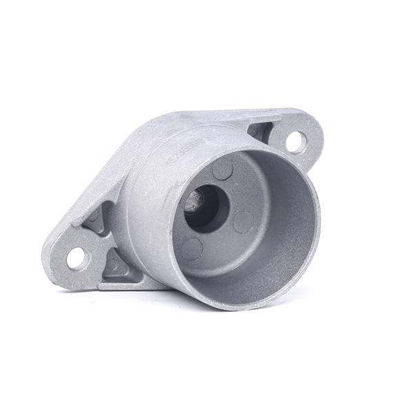 VW 1.8 T 170 LE Benzin Támcsapágy, gólyaláb OEM 3B0513353 RIDEX gépkocsihoz online, nagyszerű áron