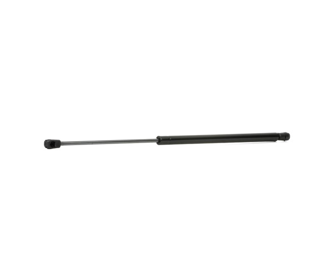 OE Portbagaj CITROËN AX 1993 95631956, 9563195680, GS0598 de la RIDEX