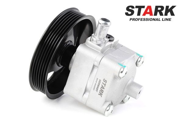 STARK Roolivõimu pump SKHP-0540057