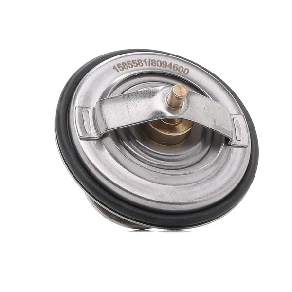 RIDEX 316T0010 Termostat, kylvätska Passat B5 Sedan (3B2) 2.8 V6 180 hk Bensin